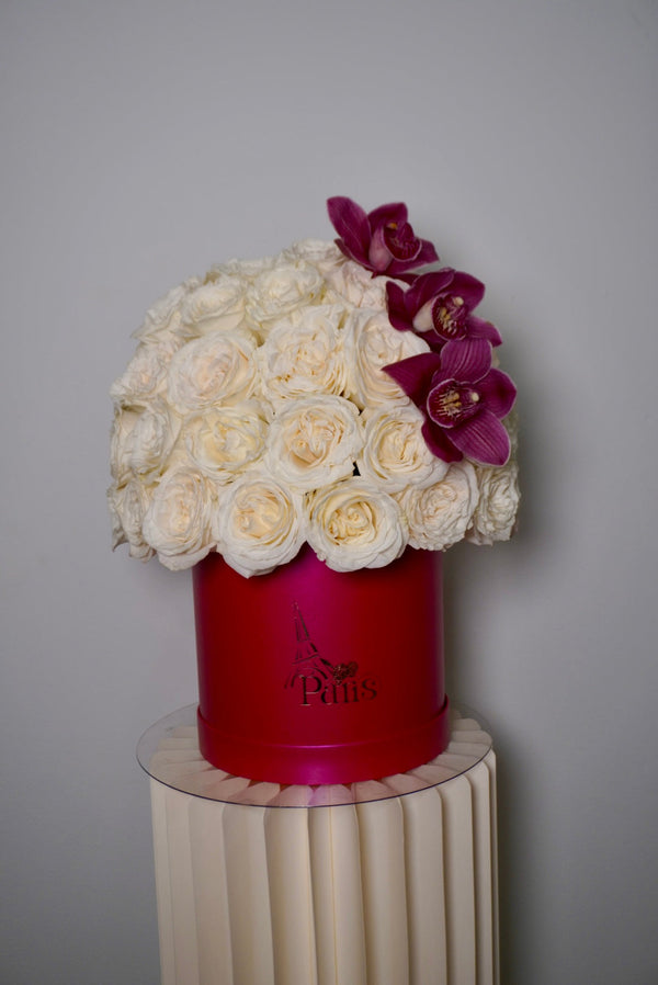 Signature Collection