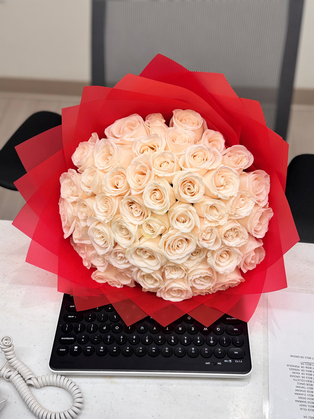 🤍 50 White Garden Roses Bouquet – Red Wrap 🤍