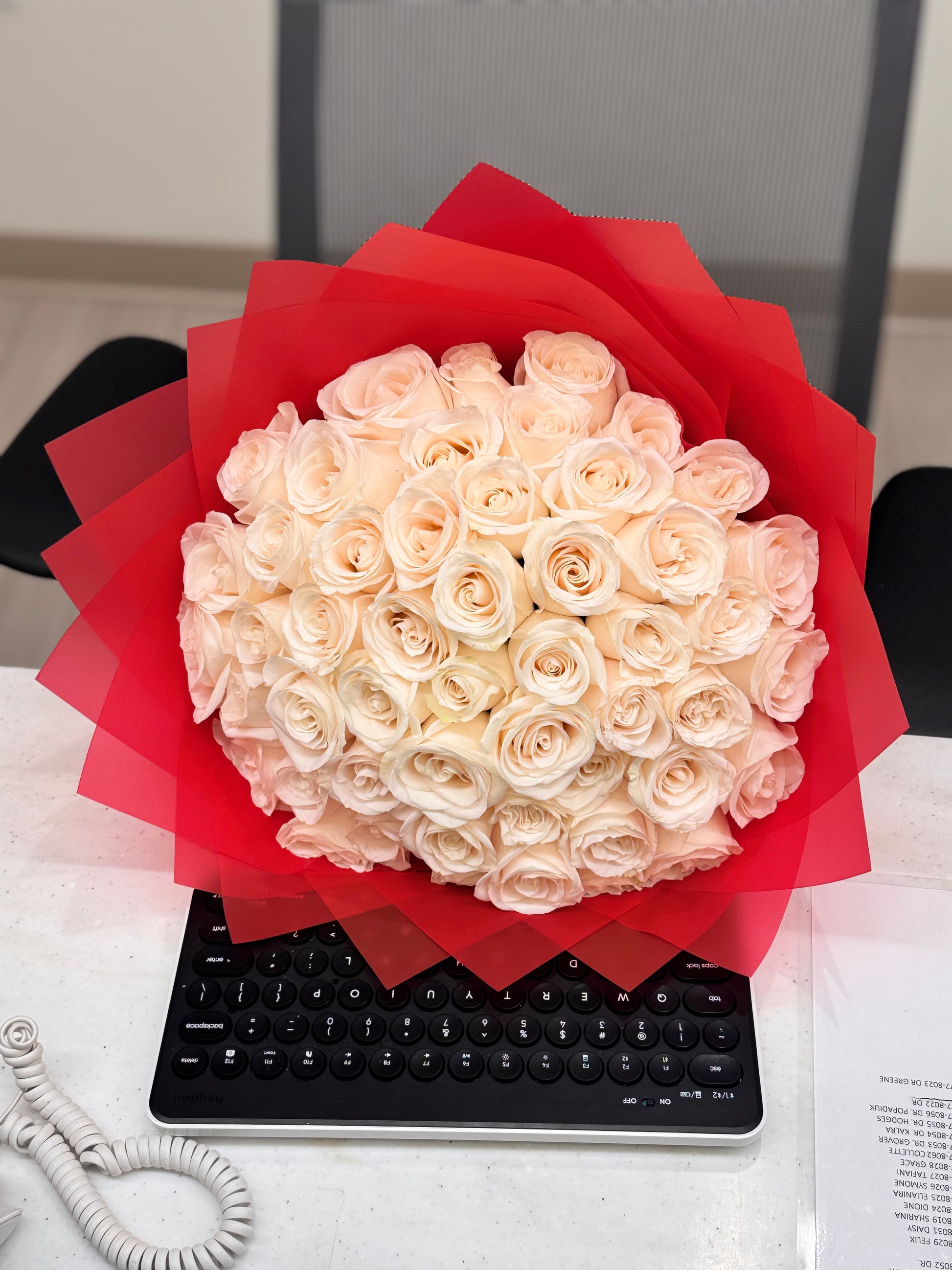 🤍 50 White Garden Roses Bouquet – Red Wrap 🤍