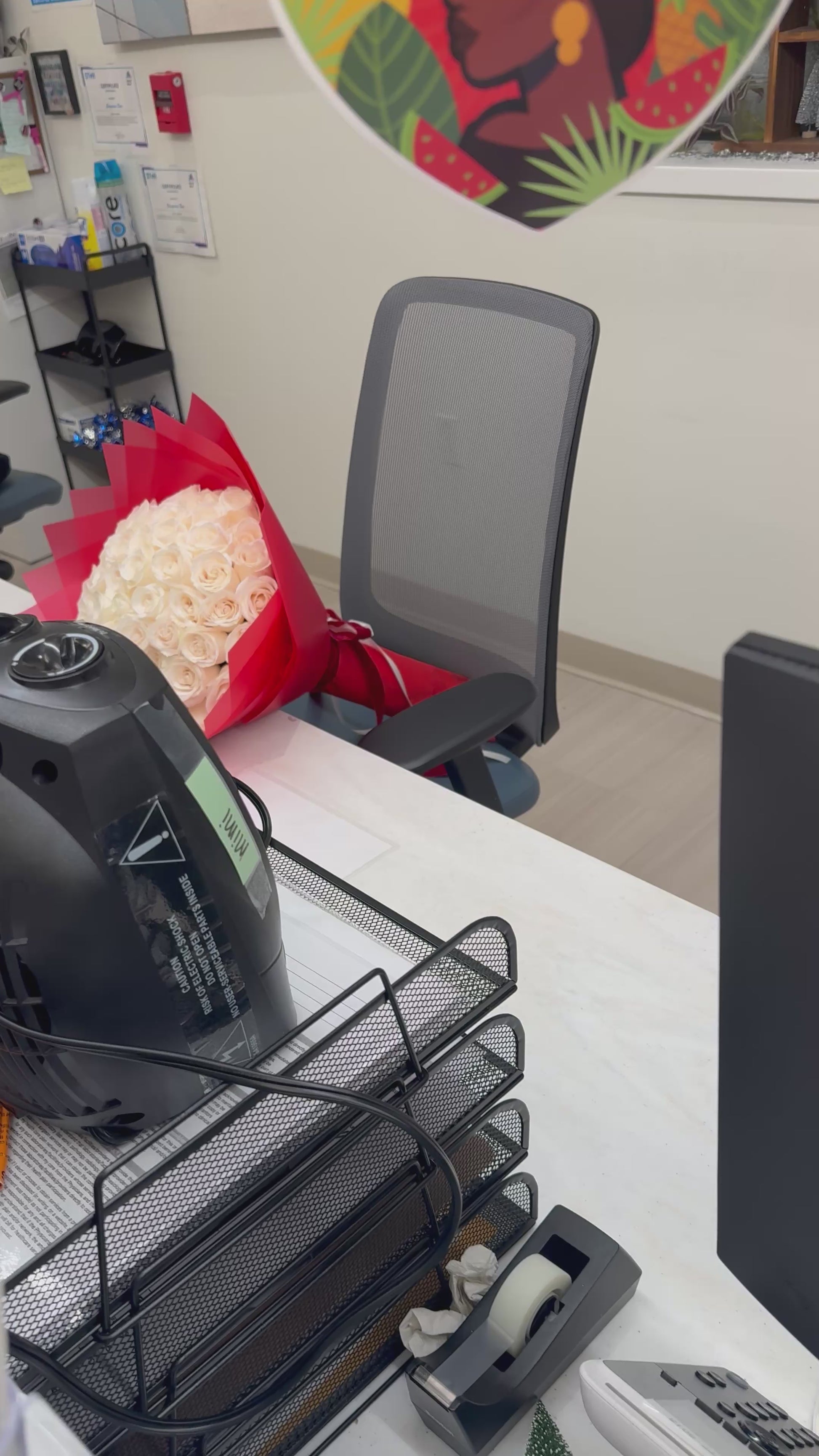 🤍 50 White Garden Roses Bouquet – Red Wrap 🤍